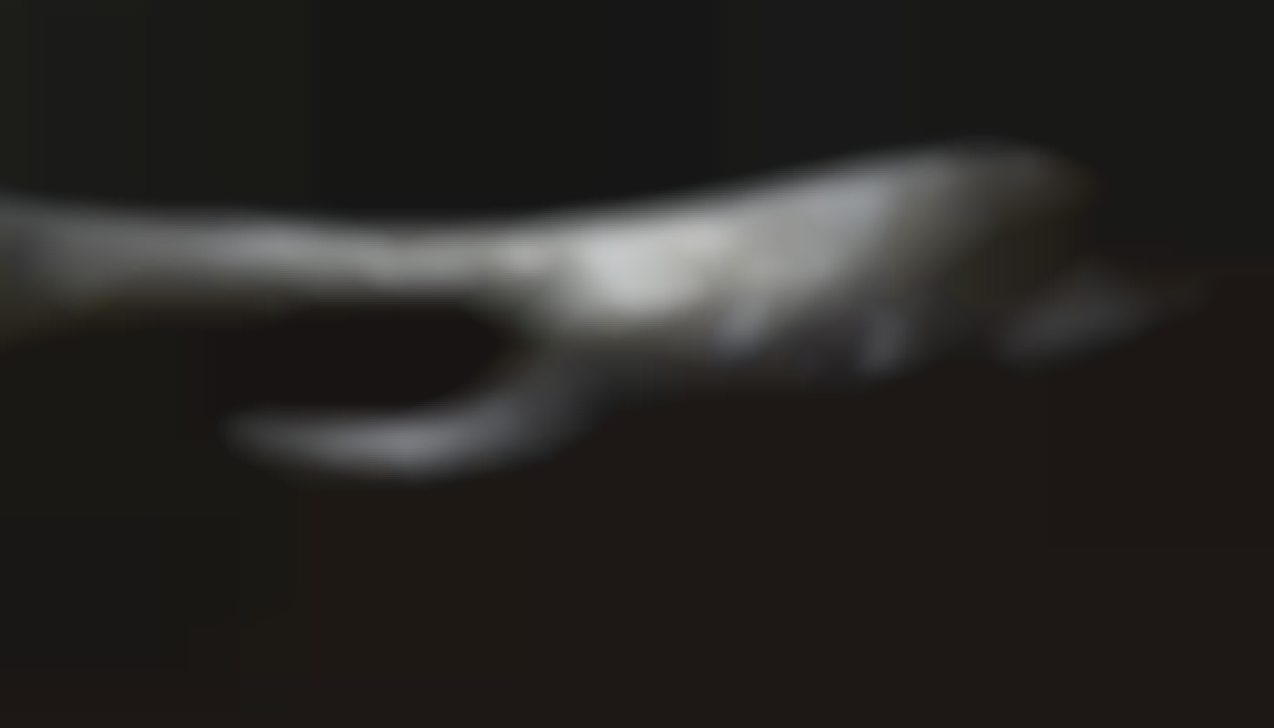 Les avantages d'opter pour des services exclusifs dans le secteur du luxe